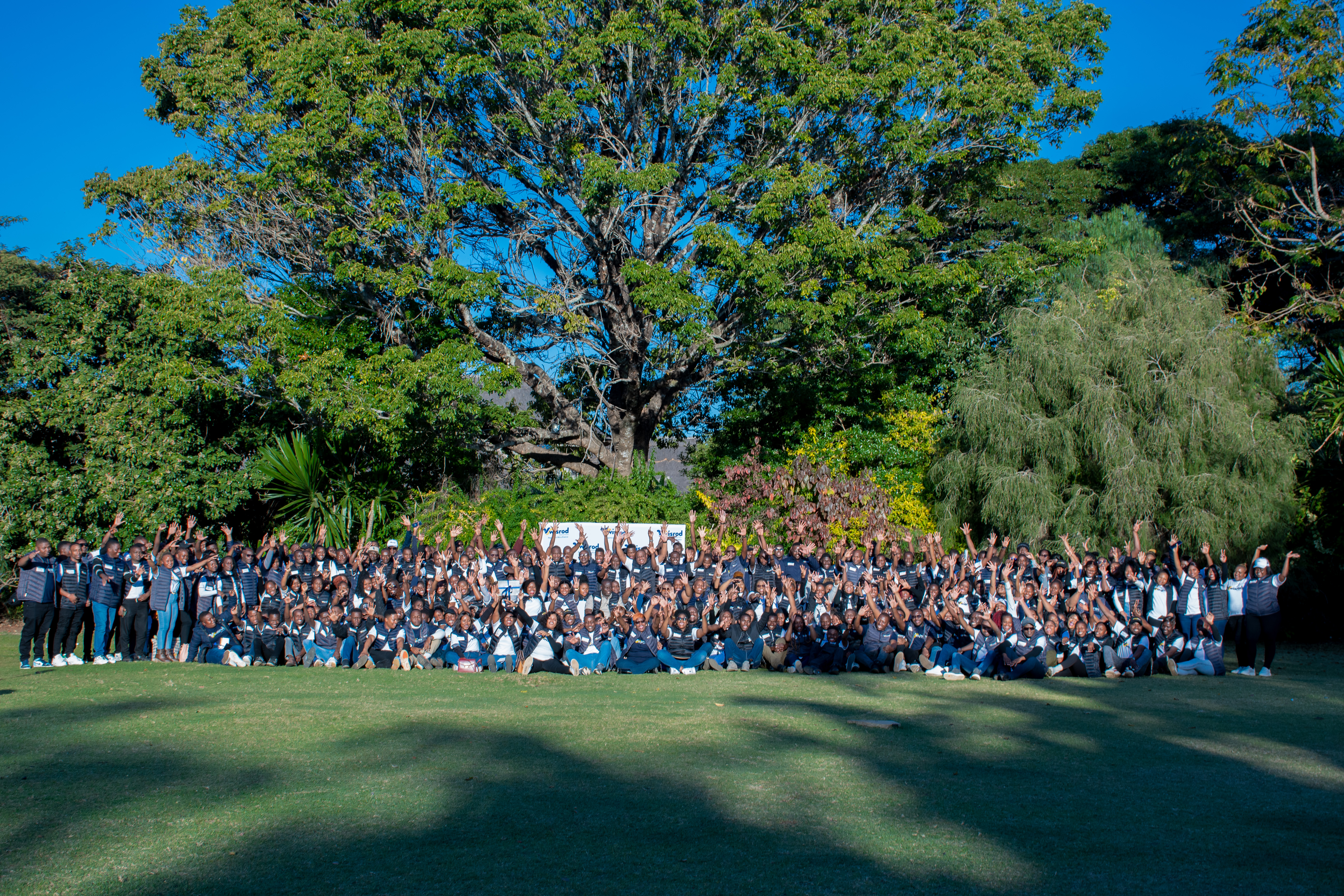 Team Building Activity